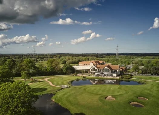 Griffon Forest gallery 3