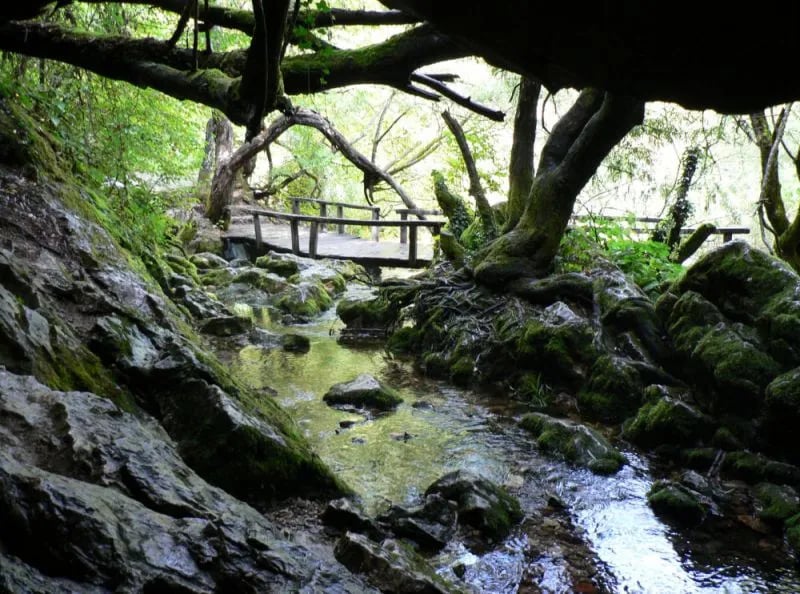 Camping SCOUT Struga gallery 3