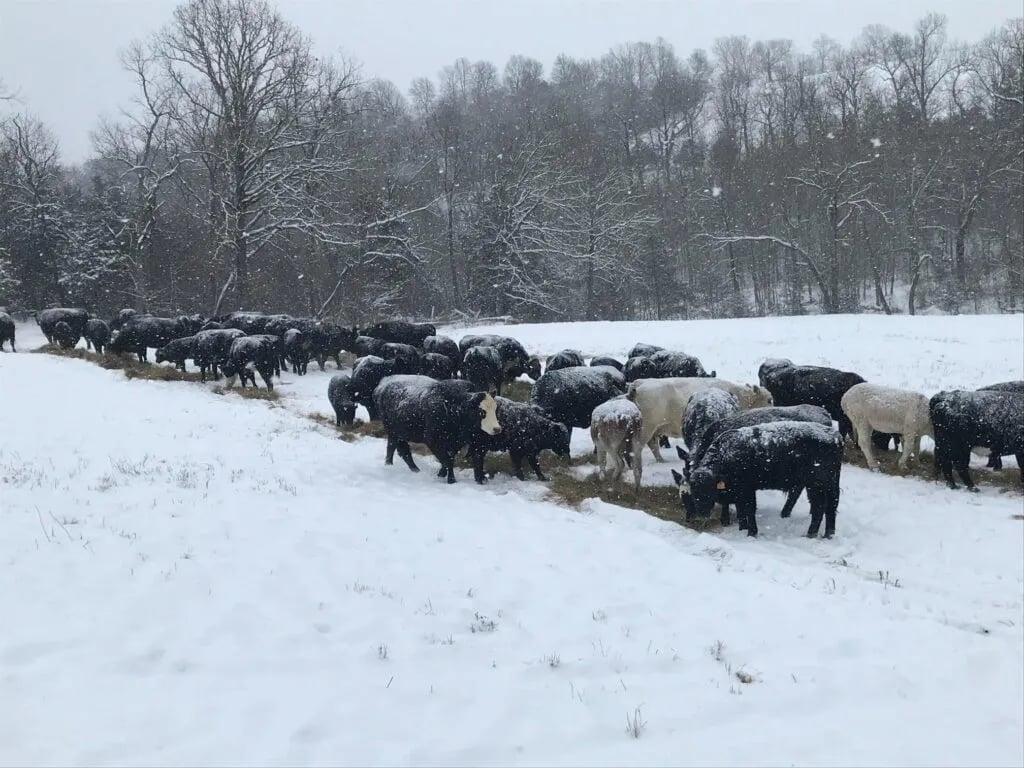 Turkey Creek Ranch Reserve gallery 1