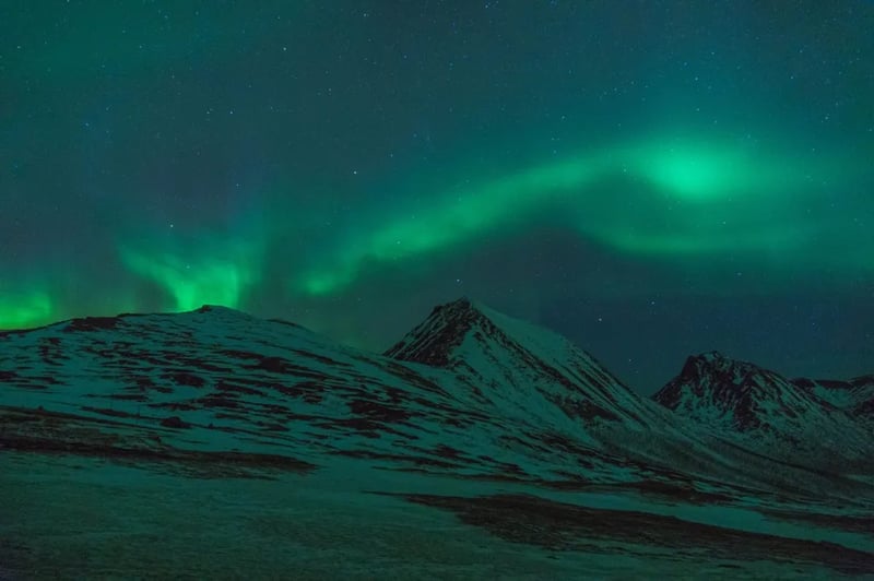 Tromsø Lodge & Camping gallery 1