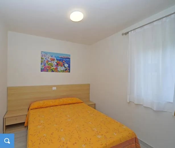 Camping Butterfly gallery 3