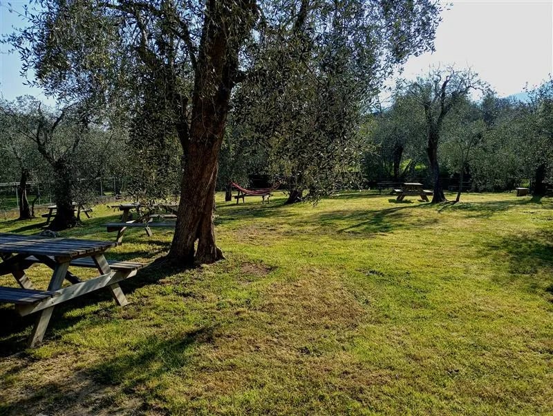 Agricamping La Villa gallery 1