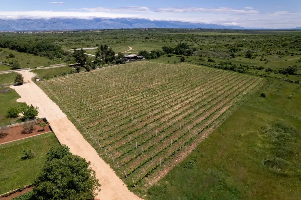 Dionis Camping Zaton gallery 2