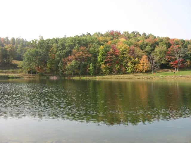 Bear Ridge Campground & RV Resort gallery 3