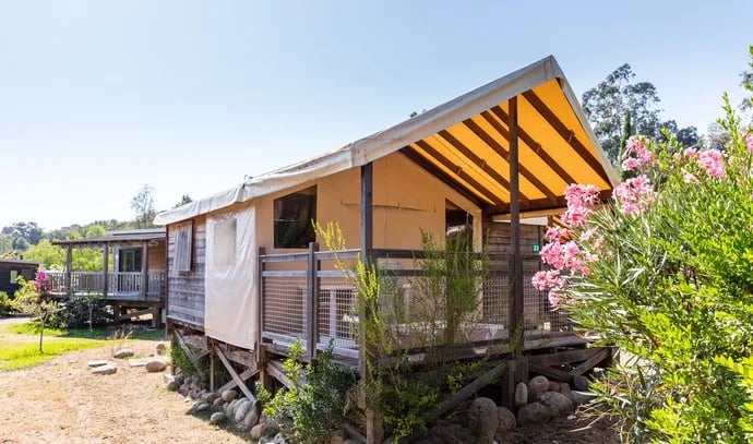 Sole di Sari gallery 3