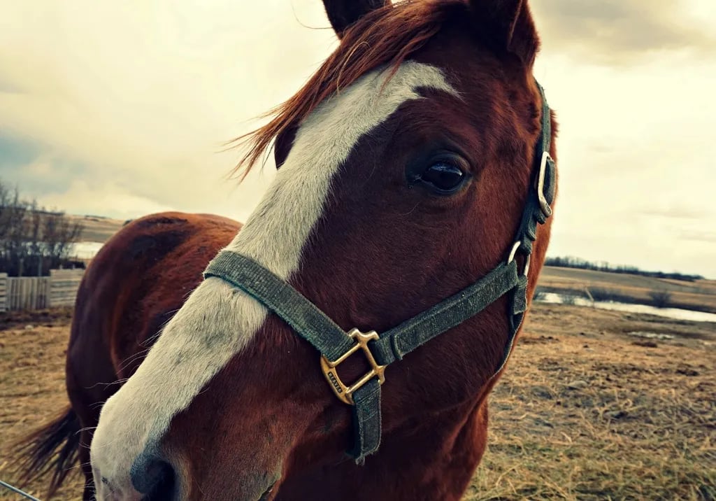Turtle Lake Campground gallery 2