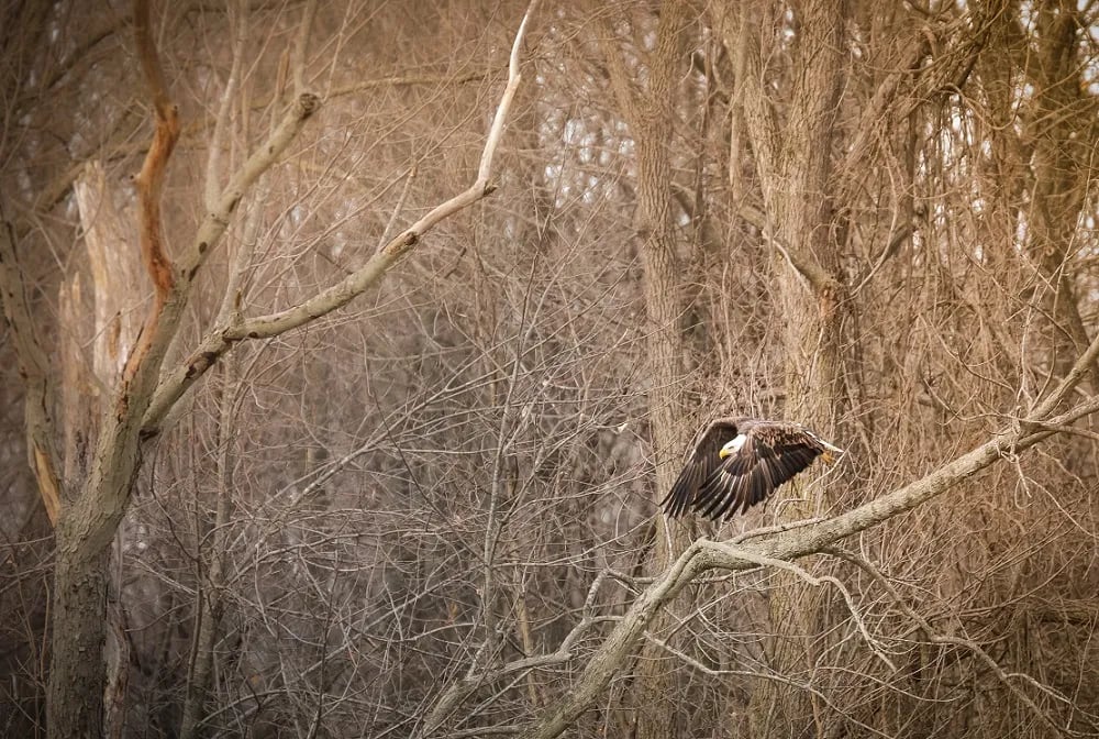 Rockville Lake County Park gallery 2