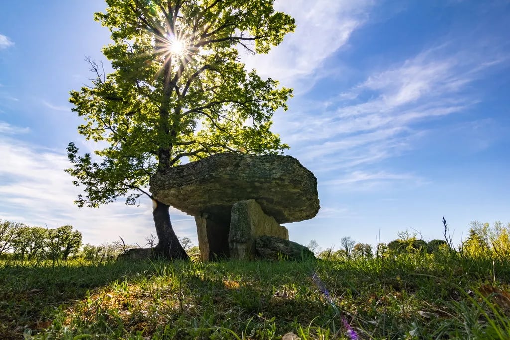 Chill-Lot Camping Insolite gallery 3