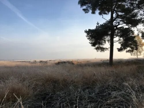 Camping Zonnecamp gallery 3