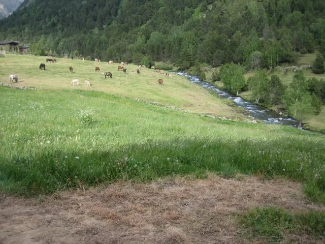 Camping Font de Ferrocins gallery 2