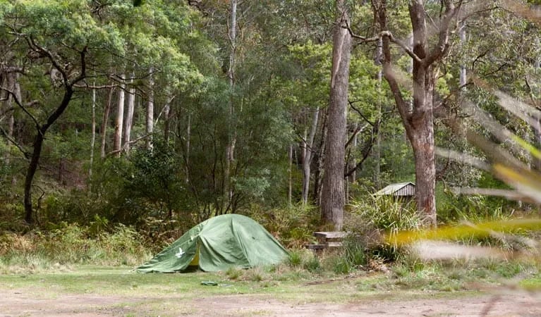 Pretty Beach campground – Murramarang National Park gallery 3