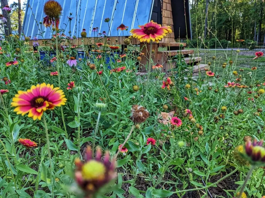 Heirloom Hamlet gallery 2