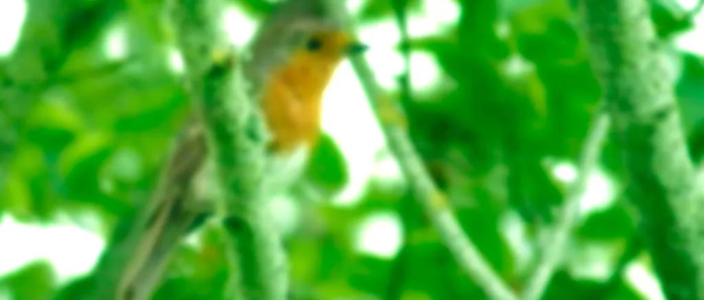 Greenacres Touring Park gallery 1