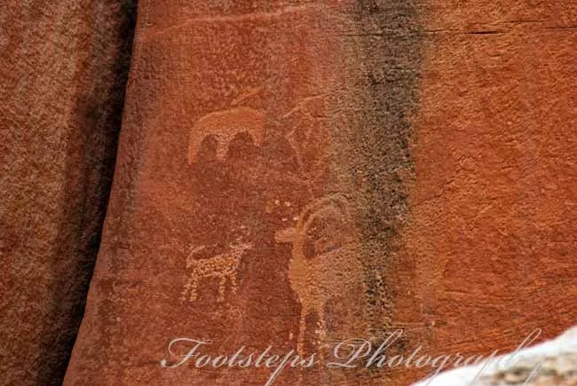 Sand Creek RV, Cabins, Tents gallery 3