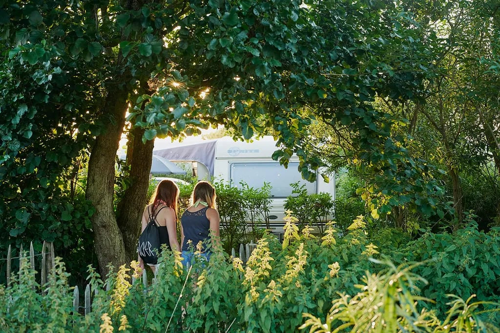 Hvidbjerg Strand Feriepark