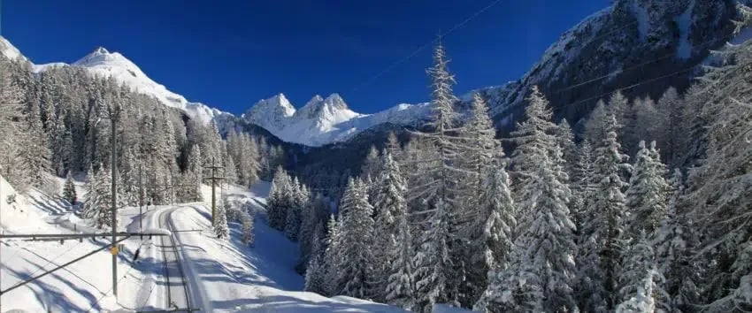 Camping De La Salm gallery 3