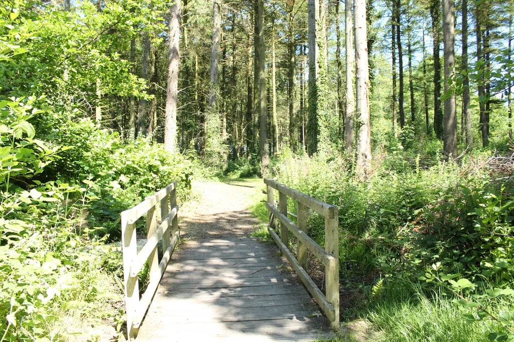 Ynysymaengwyn Caravan and Camping Park gallery 3