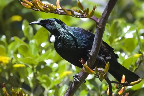 Wentworth Valley Camping Ground