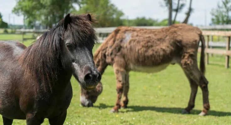 Le Domaine De La Brèche gallery 3