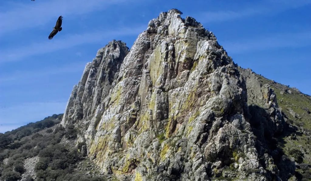 Camping Bungalows Las Cañadas gallery 2