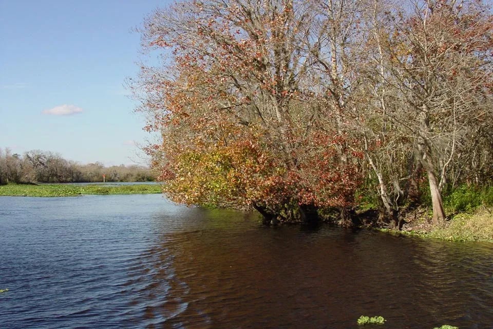 Highbanks Marina & Camp Resort gallery 2