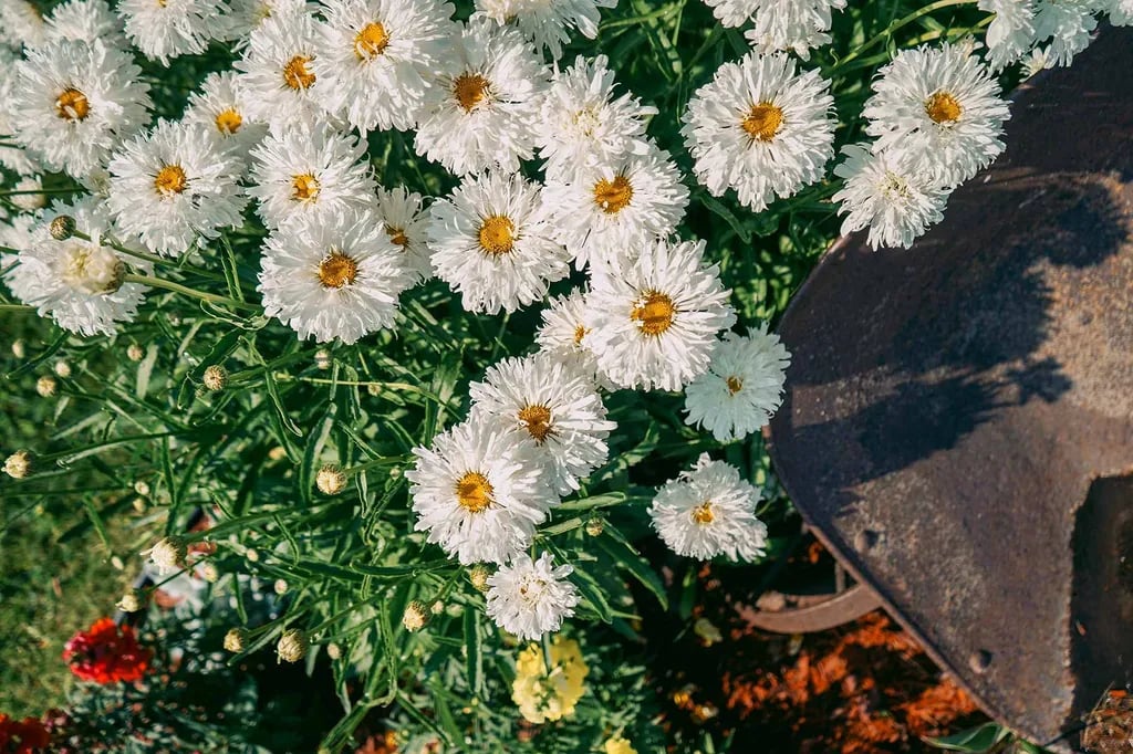 Jim & Mary’s RV Park