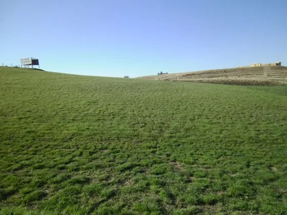 Peter Ds RV Park gallery 3