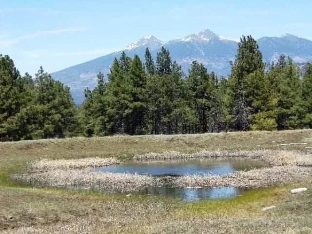 Camp Navajo/Pine View RV Park gallery 3