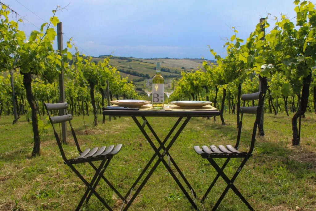 Azienda Agricola Bartolacci