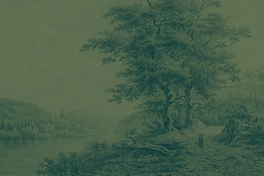 Oakwood Campsite gallery 1