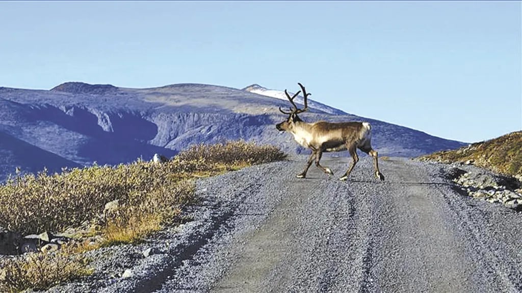 Randsverk Camping gallery 3