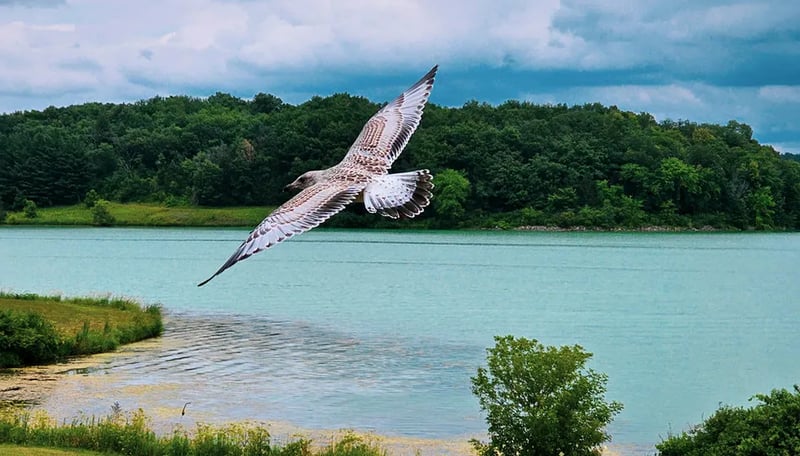 Blackhawk Lake Recreational Area gallery 1