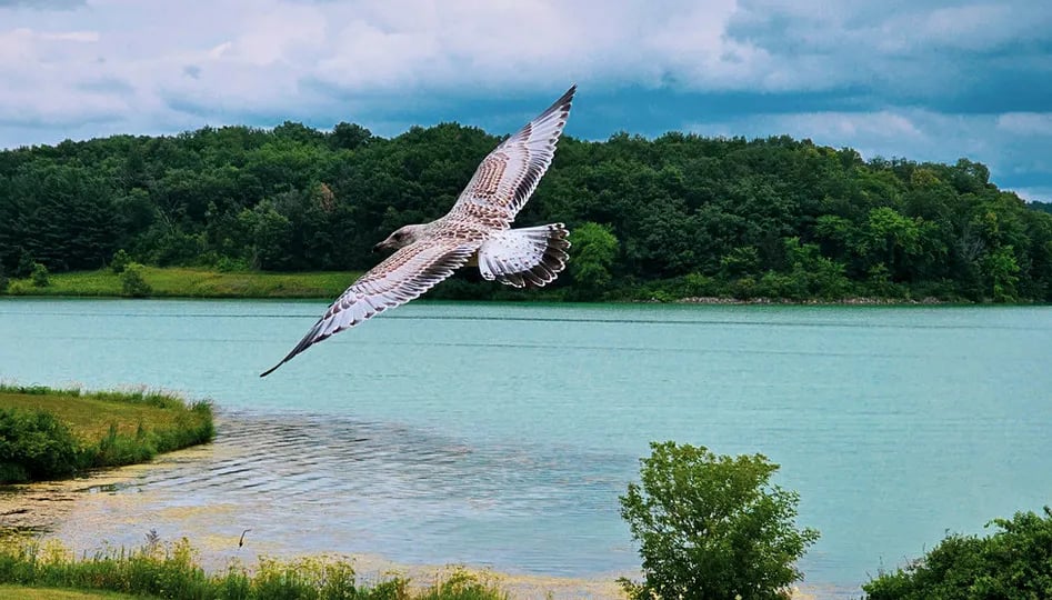 Blackhawk Lake Recreational Area gallery 1
