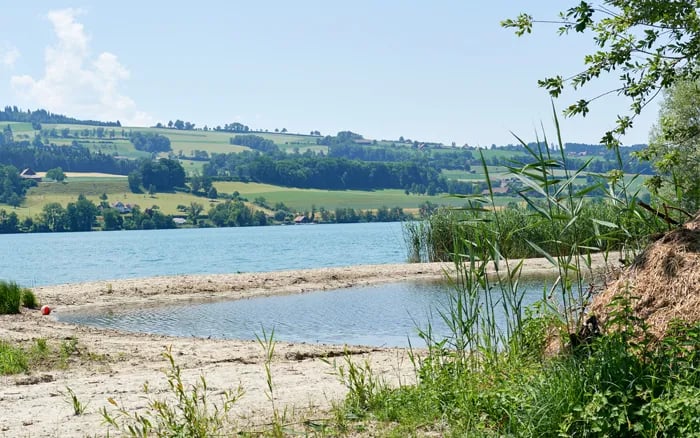 TCS Camping Sempach gallery 1