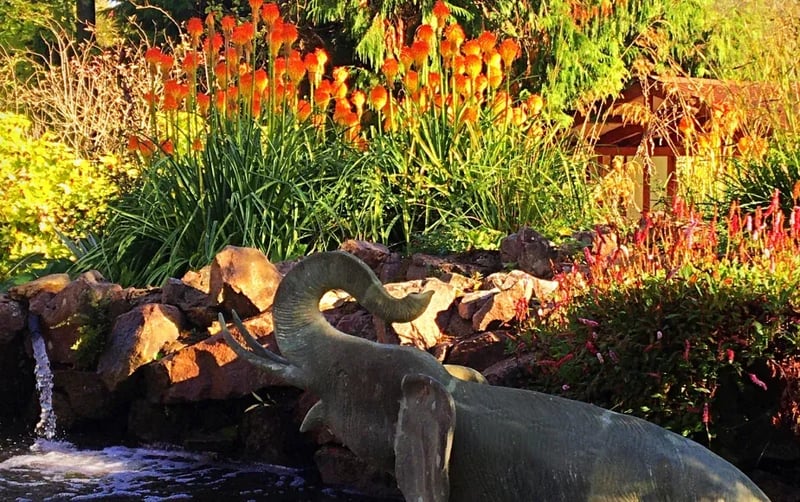Otters Camping gallery 2