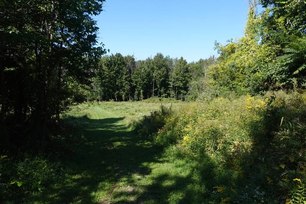 Black Bear RV Park gallery 2