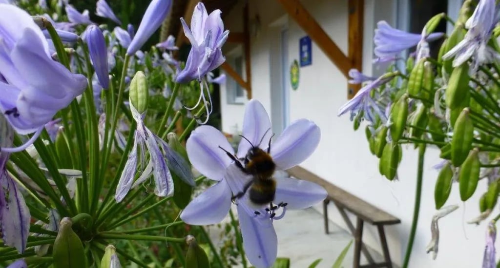 Camping Rural “Le Relais des Garennes”