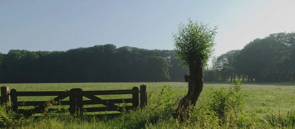 Camping de Elzenhoeve gallery 2