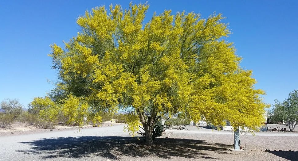 Gateway Ranch RV Resort