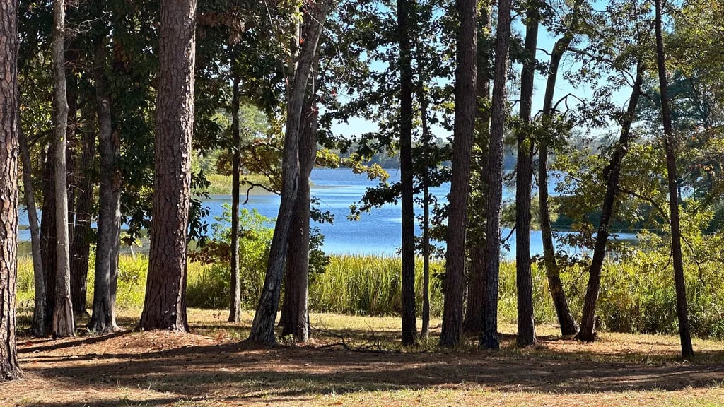 Indian Creek Recreation Area gallery 3