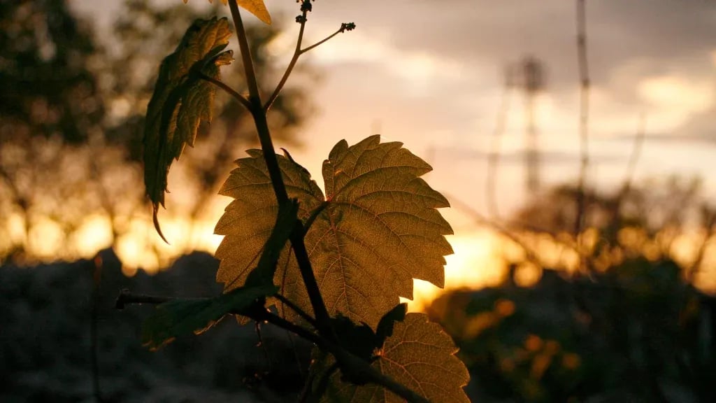 Camping Kovačine gallery 1