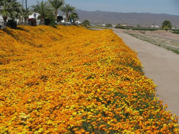 Tier Drop RV Park gallery 3