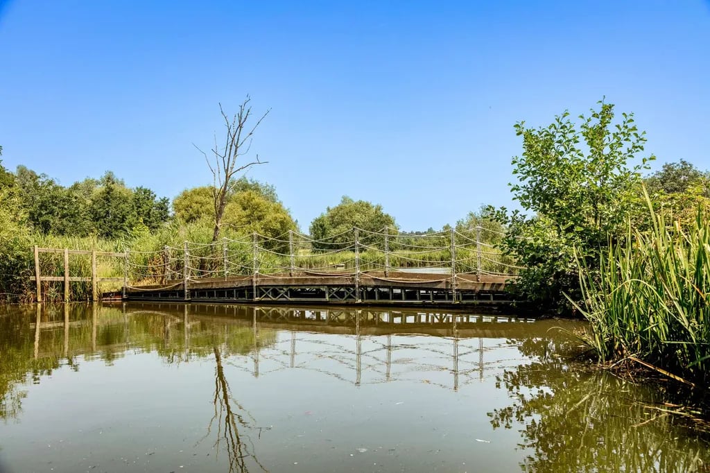 Cottington Lakes gallery 1