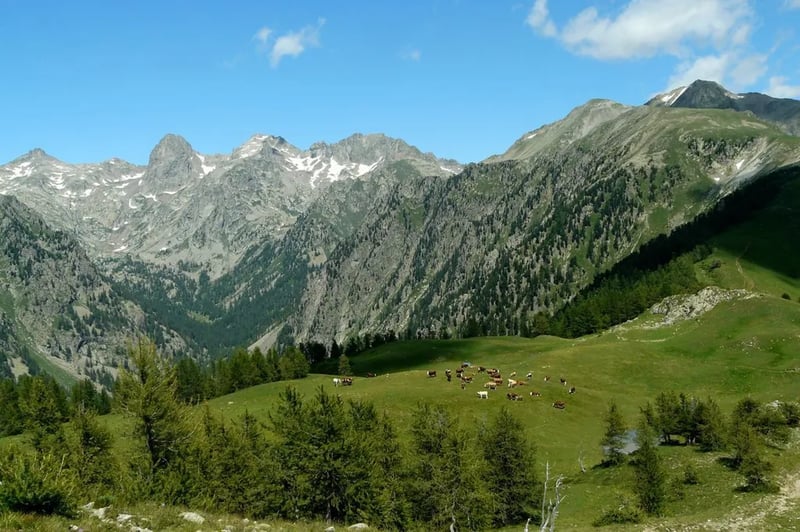 Camping Les Pinèdes gallery 1