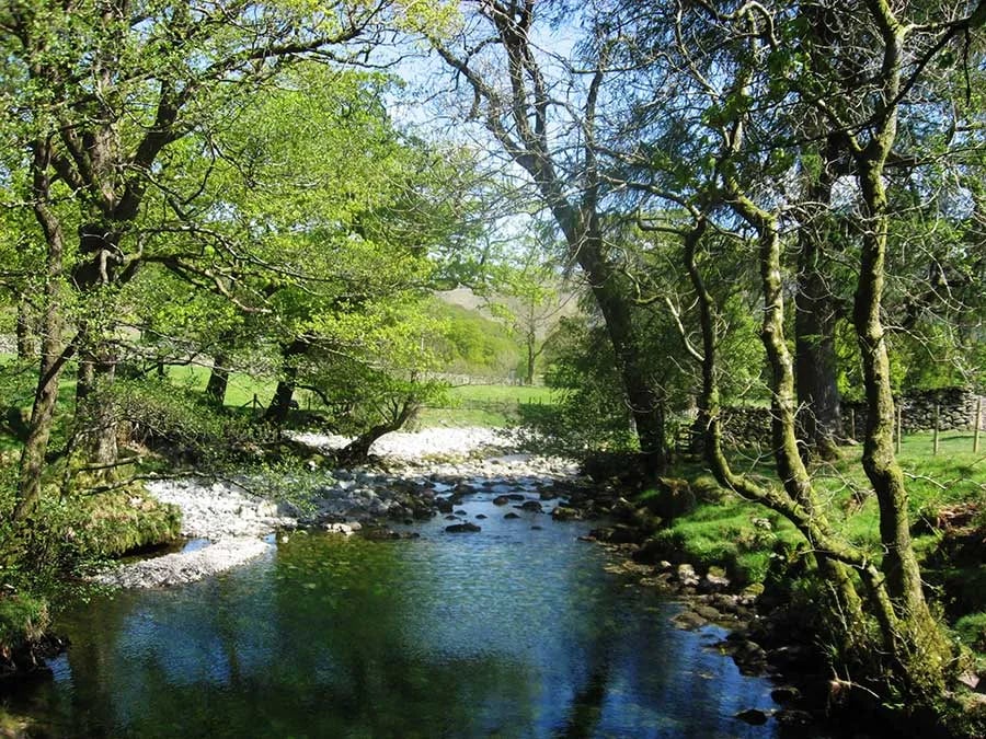 Inside Out Camping Yurts at Seatoller gallery 3
