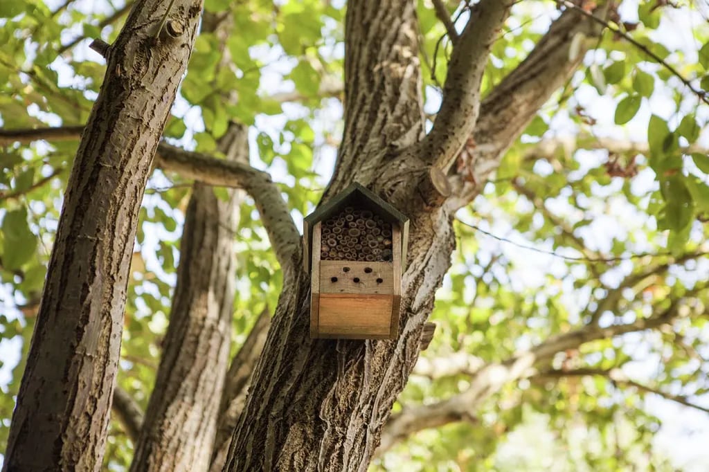 Bath Marina and Caravan Park gallery 2