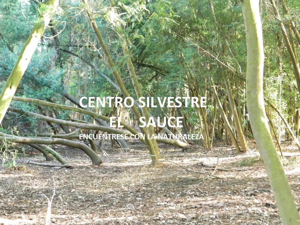 Centro Silvestre El Sauce gallery 2