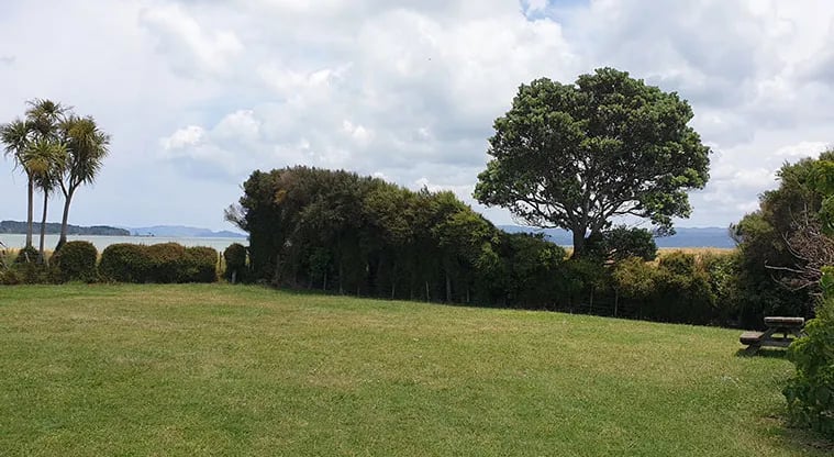 Ambury Park campground gallery 1