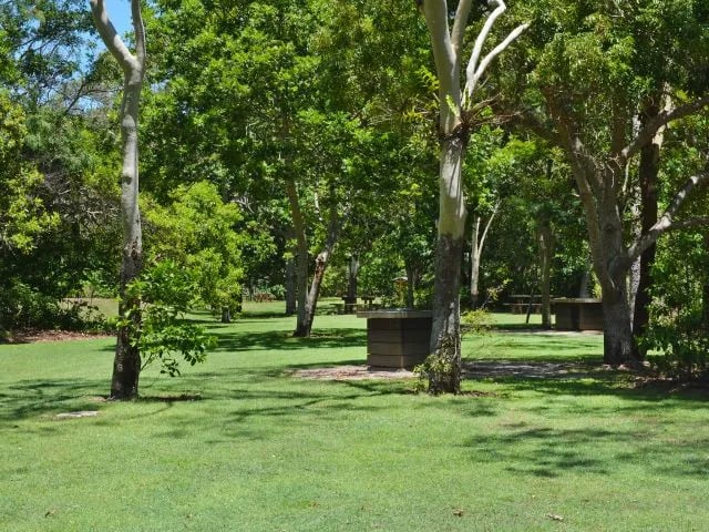 Cape Hillsborough National Park gallery 2