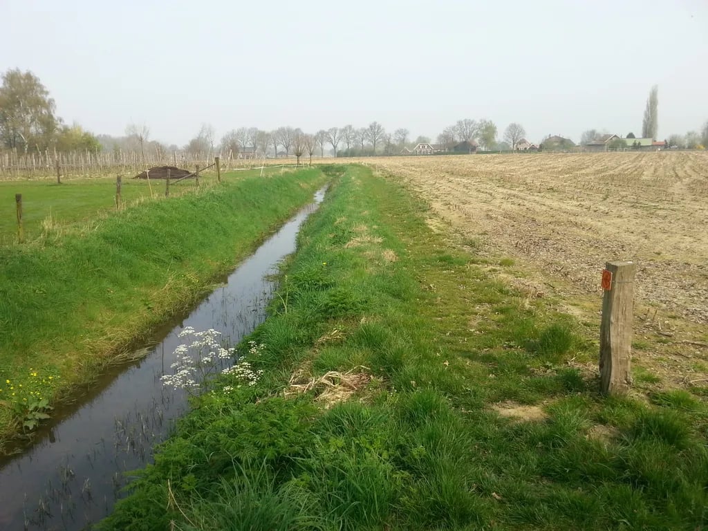 Camping de Elzenhoeve gallery 1